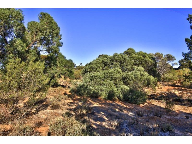 81 Wheatley Road, Loxton SA 5333