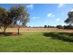 Lot 51 Government Road, Renmark SA 5341
