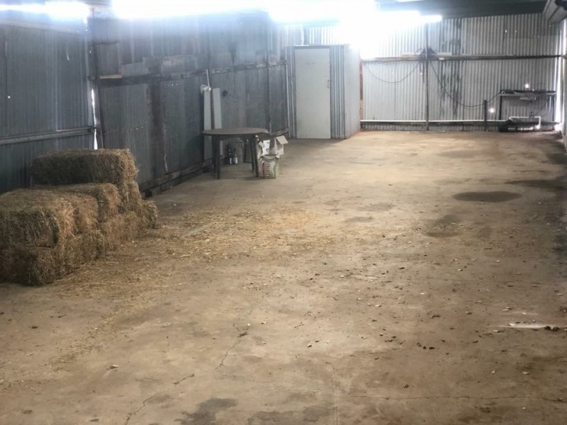 Lot 51 Government Road, Renmark SA 5341