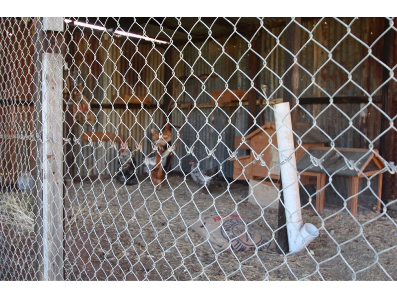 Lot 51 Government Road, Renmark SA 5341