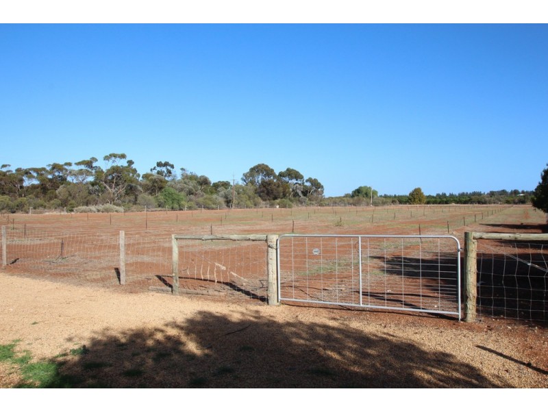 Lot 51 Government Road, Renmark SA 5341