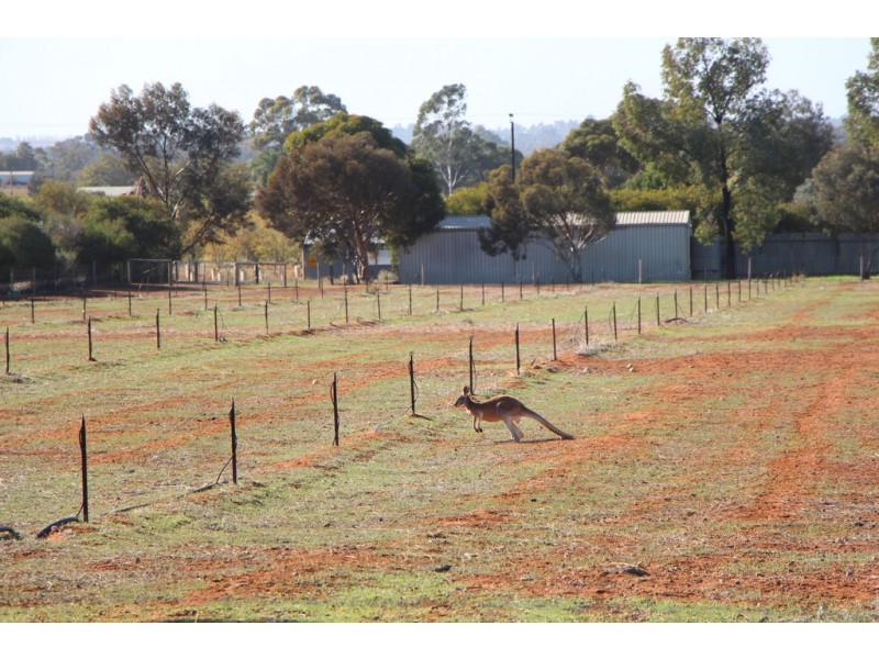 Lot 51 Government Road, Renmark SA 5341