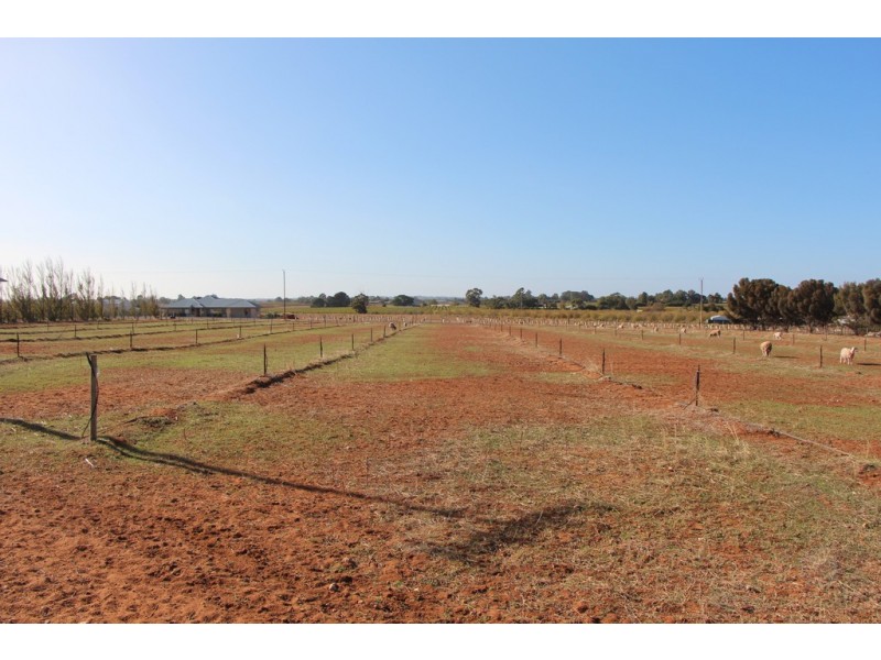 Lot 51 Government Road, Renmark SA 5341