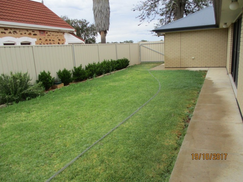150 Pyap Street, Renmark SA 5341