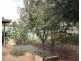 15 Coral Street, Loxton SA 5333