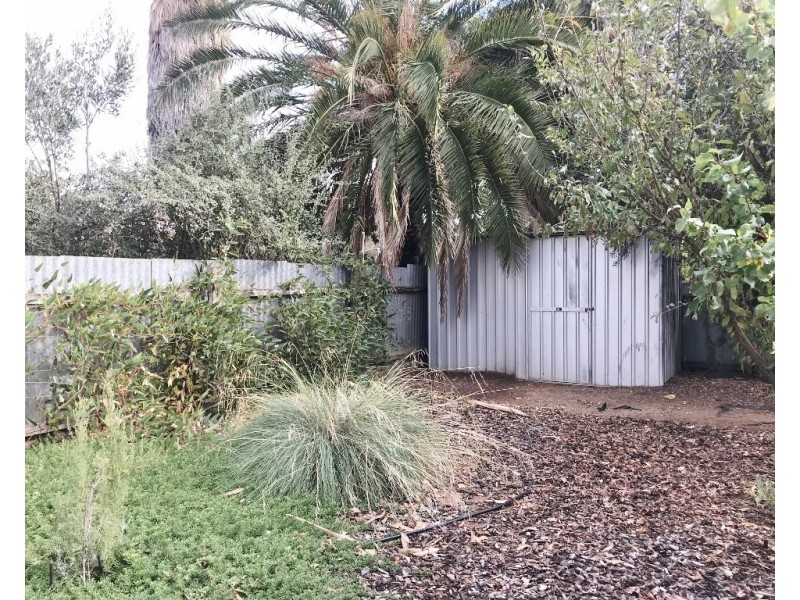 15 Coral Street, Loxton SA 5333