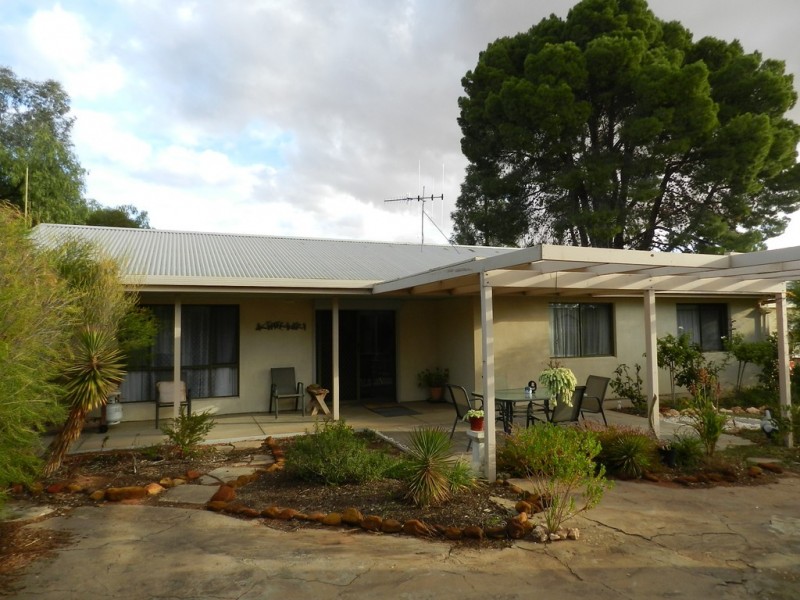 20 Morris Street, Loveday SA 5345