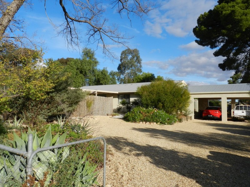 20 Morris Street, Loveday SA 5345
