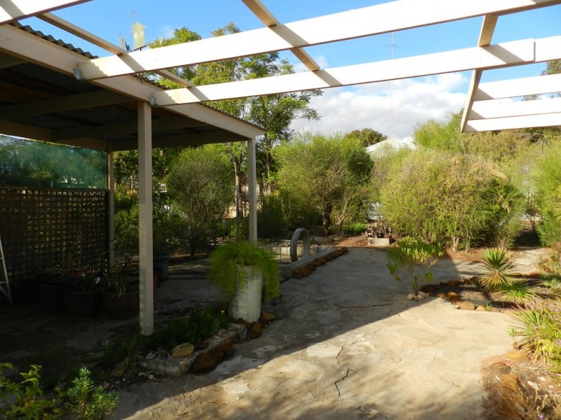 20 Morris Street, Loveday SA 5345