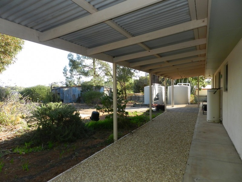 20 Morris Street, Loveday SA 5345