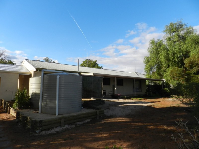 20 Morris Street, Loveday SA 5345
