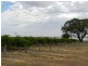 278 Kingston Road, Moorook SA 5332