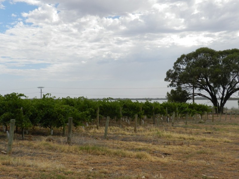 278 Kingston Road, Moorook SA 5332