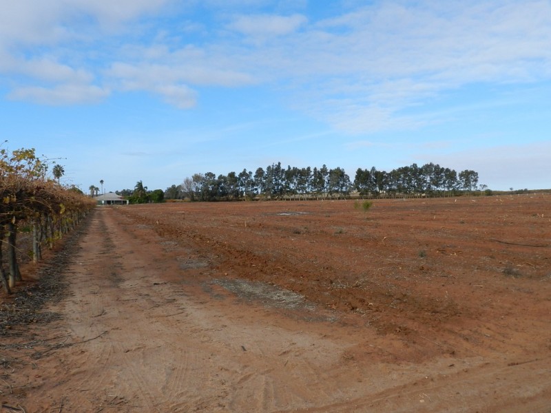278 Kingston Road, Moorook SA 5332