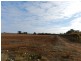 278 Kingston Road, Moorook SA 5332