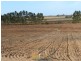 278 Kingston Road, Moorook SA 5332