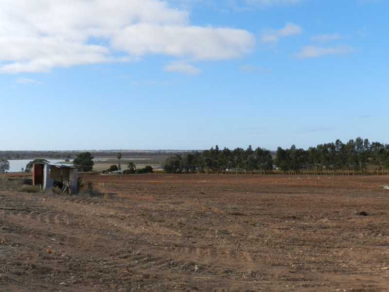 278 Kingston Road, Moorook SA 5332
