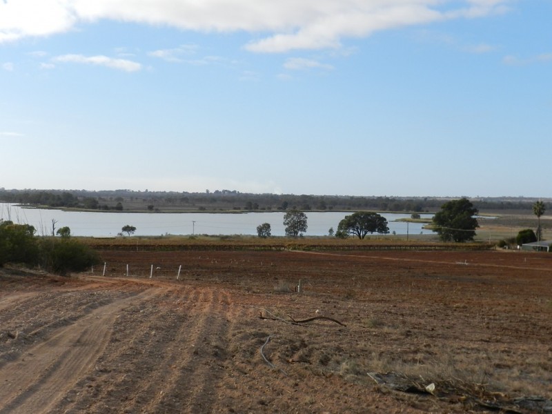 278 Kingston Road, Moorook SA 5332