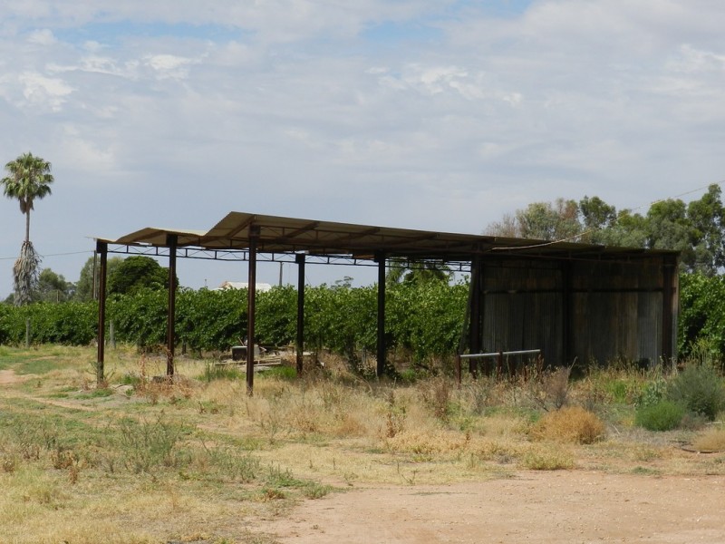 278 Kingston Road, Moorook SA 5332