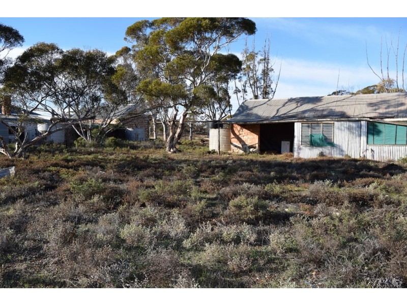 34 Railway Terrace, Veitch SA 5311