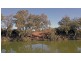 Lot 102 Kingston Road, Loxton SA 5333