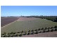 Lot 102 Kingston Road, Loxton SA 5333