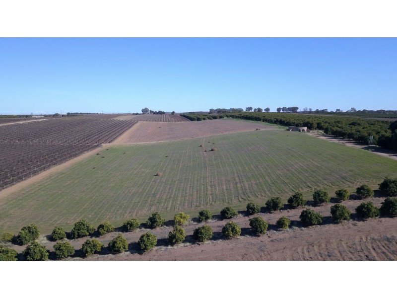 Lot 102 Kingston Road, Loxton SA 5333