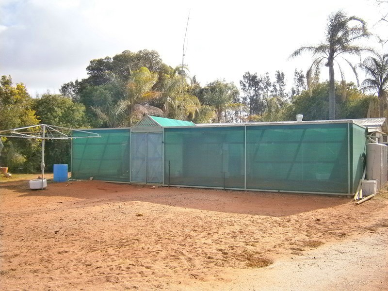 193 Playford Road, Waikerie SA 5330