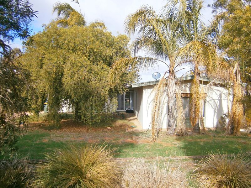 193 Playford Road, Waikerie SA 5330