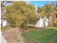 193 Playford Road, Waikerie SA 5330