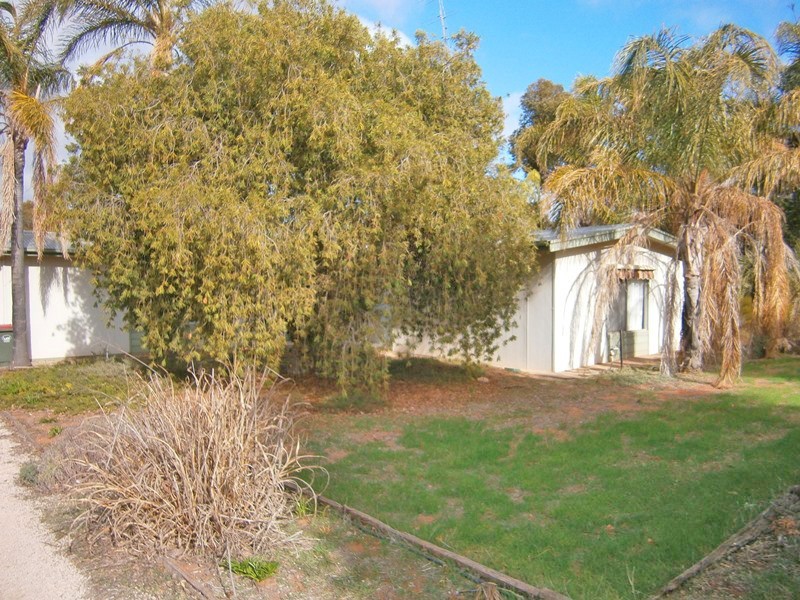 193 Playford Road, Waikerie SA 5330