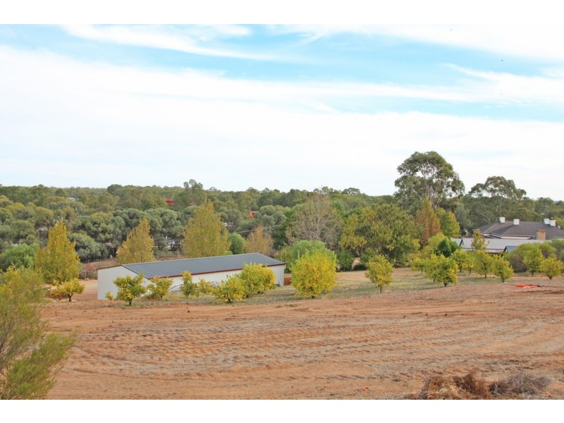 19 Murtho Rd, Paringa SA 5340