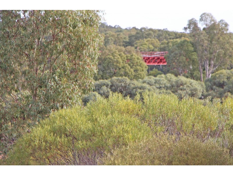 19 Murtho Rd, Paringa SA 5340