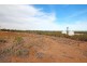 19 Murtho Rd, Paringa SA 5340