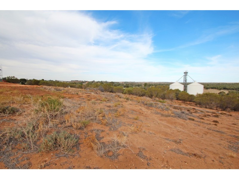 19 Murtho Rd, Paringa SA 5340