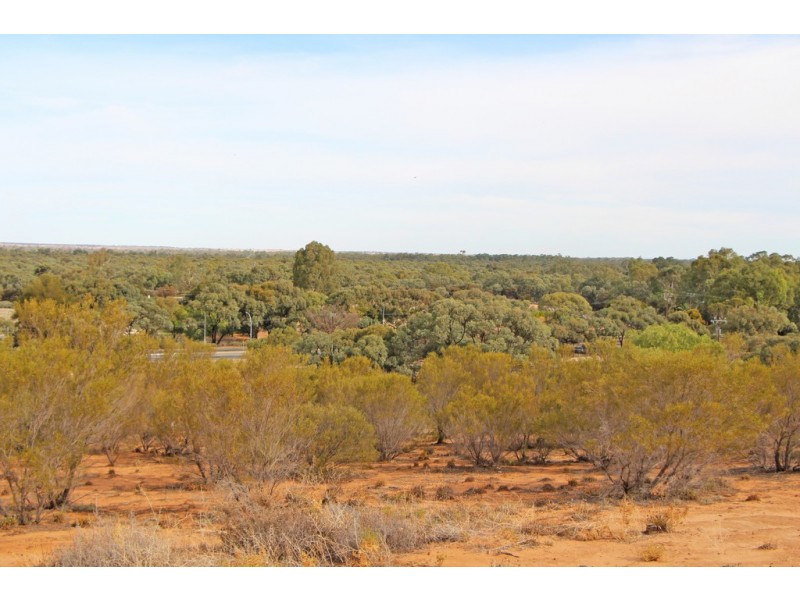 19 Murtho Rd, Paringa SA 5340