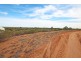 19 Murtho Rd, Paringa SA 5340