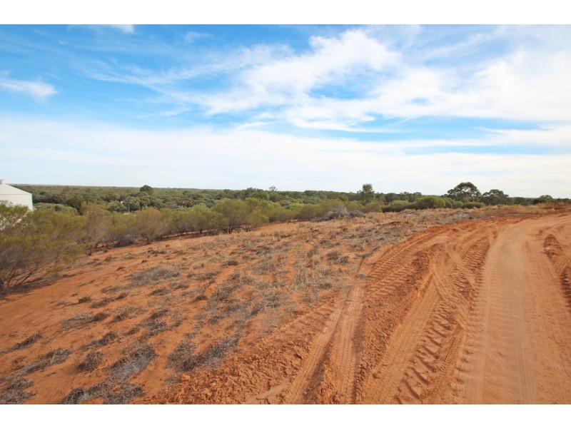 19 Murtho Rd, Paringa SA 5340