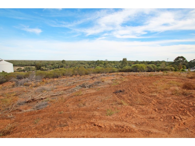 19 Murtho Rd, Paringa SA 5340