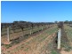 Sec 524 Edwards and Balfour Ogilvy Roads, Loxton SA 5333