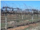 Sec 524 Edwards and Balfour Ogilvy Roads, Loxton SA 5333