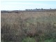 Sec 524 Edwards and Balfour Ogilvy Roads, Loxton SA 5333