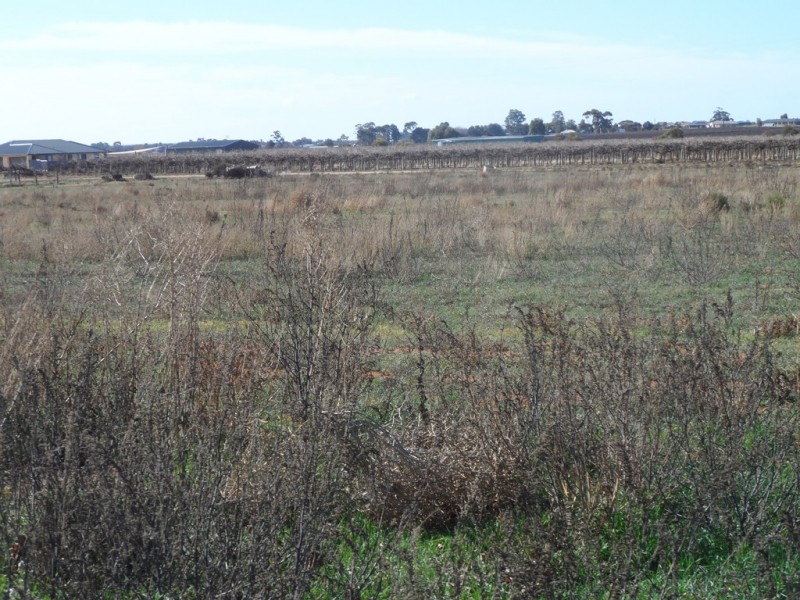 Sec 524 Edwards and Balfour Ogilvy Roads, Loxton SA 5333