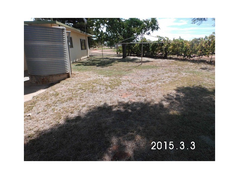 536 Murtho Road, Paringa SA 5340