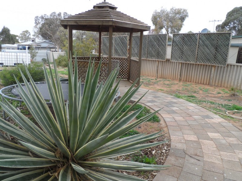 288 Alamein Avenue, Loxton SA 5333