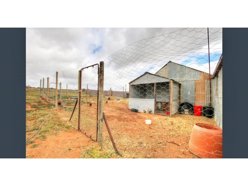 13 Loxton Drive, Moorook SA 5332