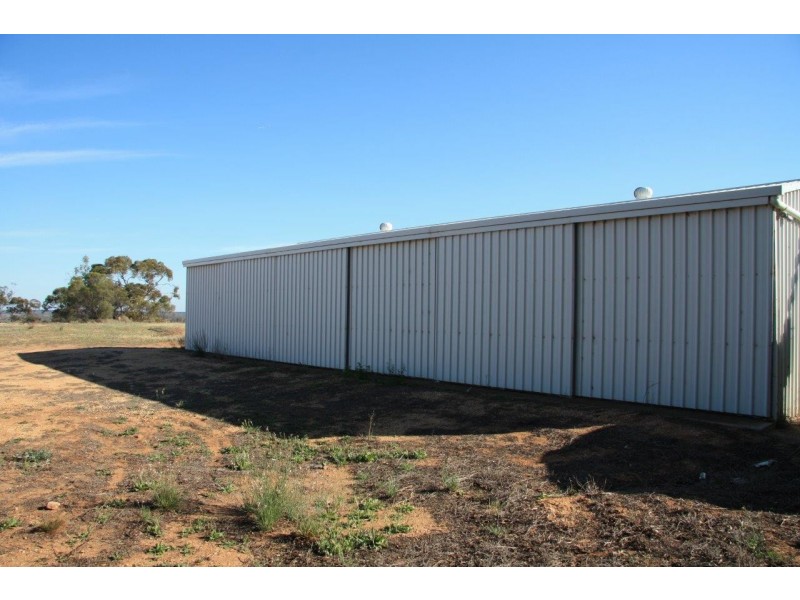 38 Wheatley Road, Loxton SA 5333