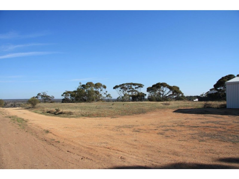 38 Wheatley Road, Loxton SA 5333