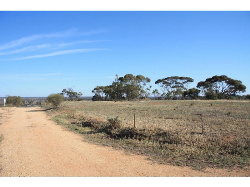 38 Wheatley Road, Loxton SA 5333