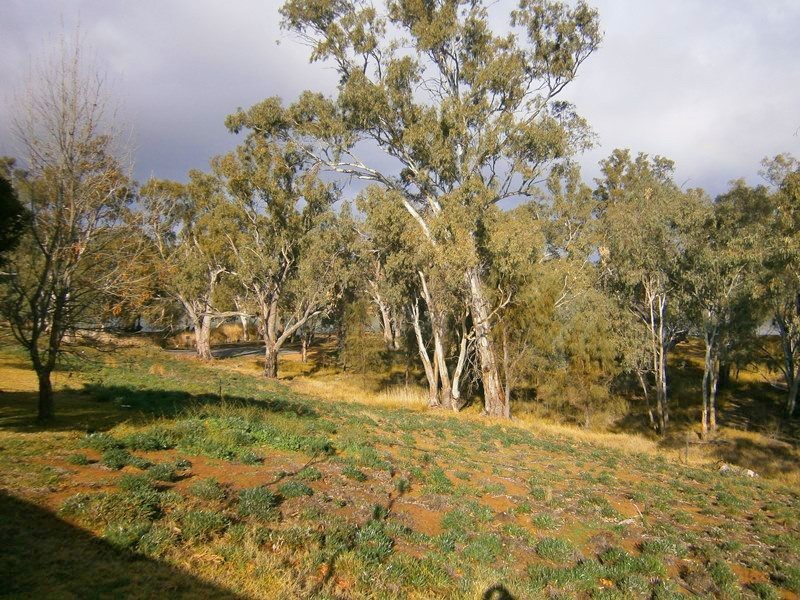 67 Apold Road (Pine Village), Morgan SA 5320